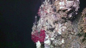 Oregon seafloor could offer clues to earthquake hazards