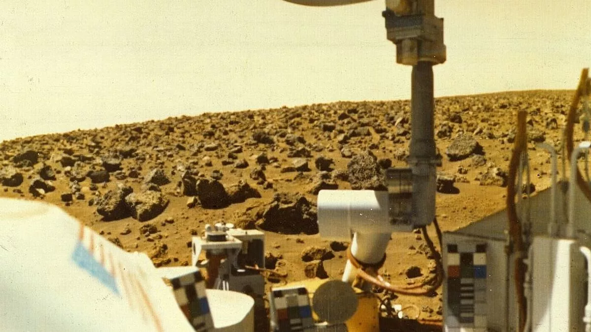 Did NASA Accidentally Destroy Life on Mars?