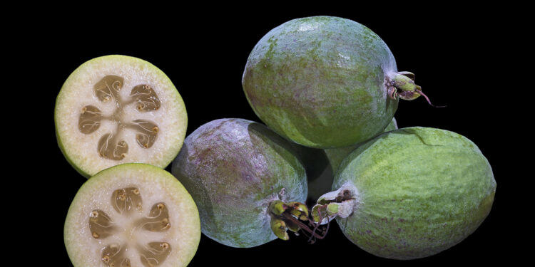 Can the "People's Fruit" Feijoas Help Prevent Diabetes?